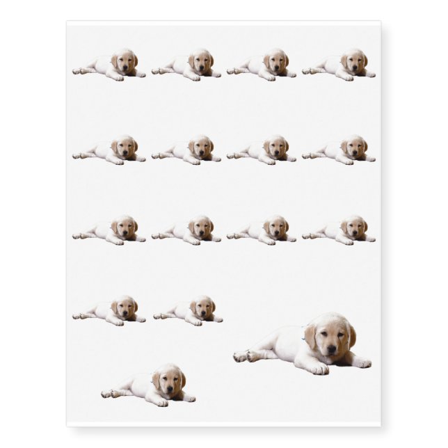 Sleepy Lab Temporary Tattoos (Front)