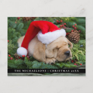 Sleepy Labrador Retriever Puppy With Santa Hat Holiday Postcard