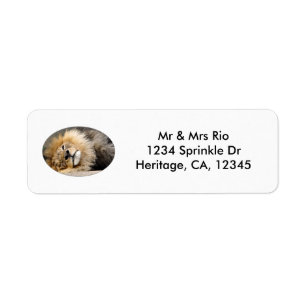 Sleepy Lion Wink Address Label