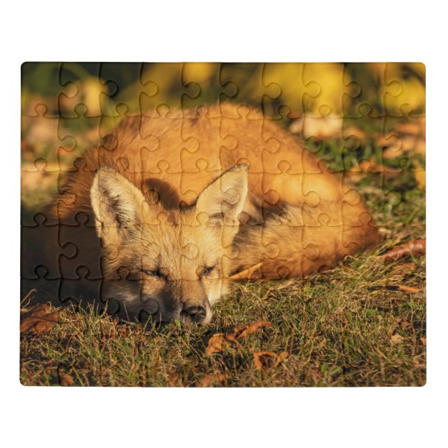 Sleepy Little Fox         Jigsaw Puzzle (Puzzle Horizontal)