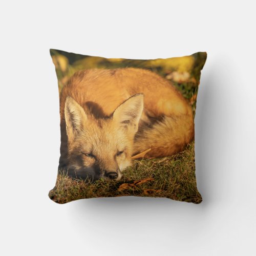 Sleepy Little Fox        Throw Pillow