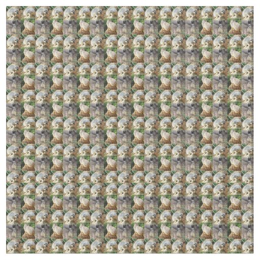 Sleepy Meerkat Pattern, Fabric