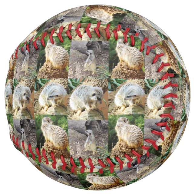 Sleepy Meerkat Photo Collage, Softball (Back Left)