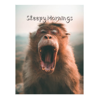 Sleepy Mornings - Yawning monkey Photo Print