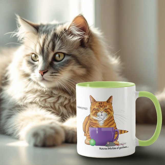 Sleepy Orange Ginger Cat Coffee Green Purple Mug (Creator Uploaded)