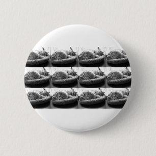 Sleepy Orange Tabby Cat/Black and White Photo Button