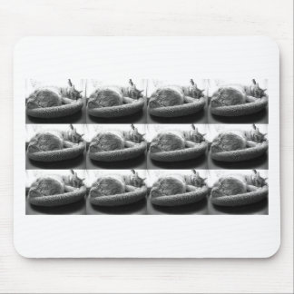 Sleepy Orange Tabby Cat/Black and White Photo Mouse Pad