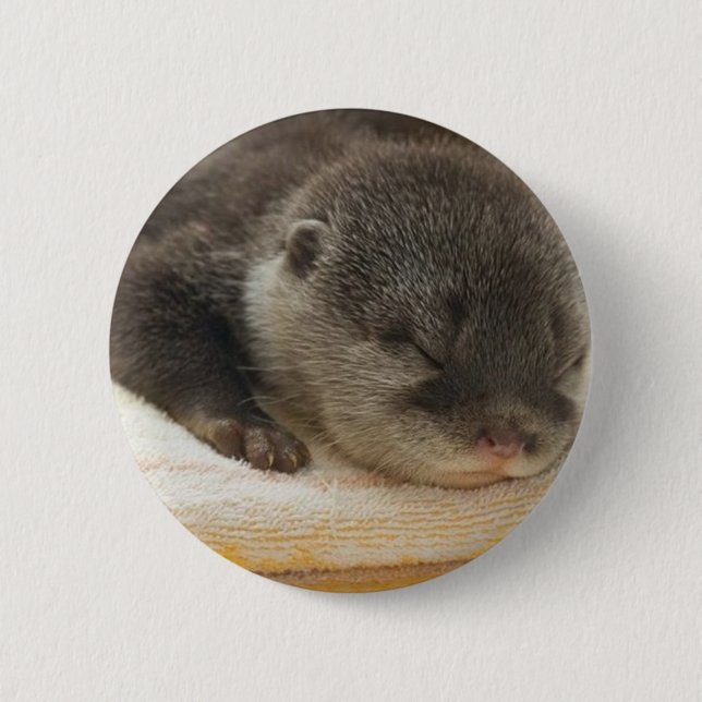 Sleepy Otter Button (Front)