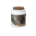 Sleepy Otter Candy Jar