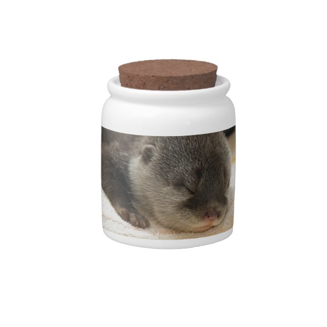 Sleepy Otter Candy Jar (Front)