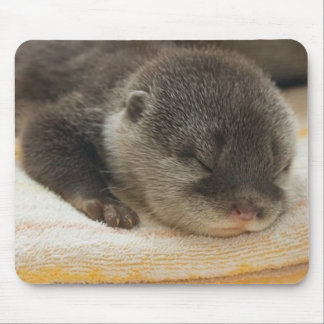 Sleepy Otter Mouse Pad