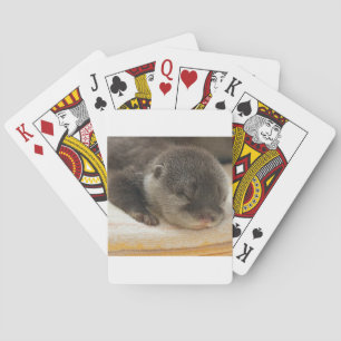Sleepy Otter Poker Cards