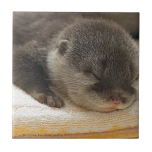 Sleepy Otter Tile