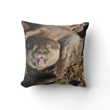 Sleepy otters photo