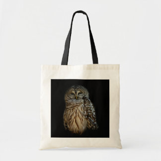 Sleepy Owl Bag