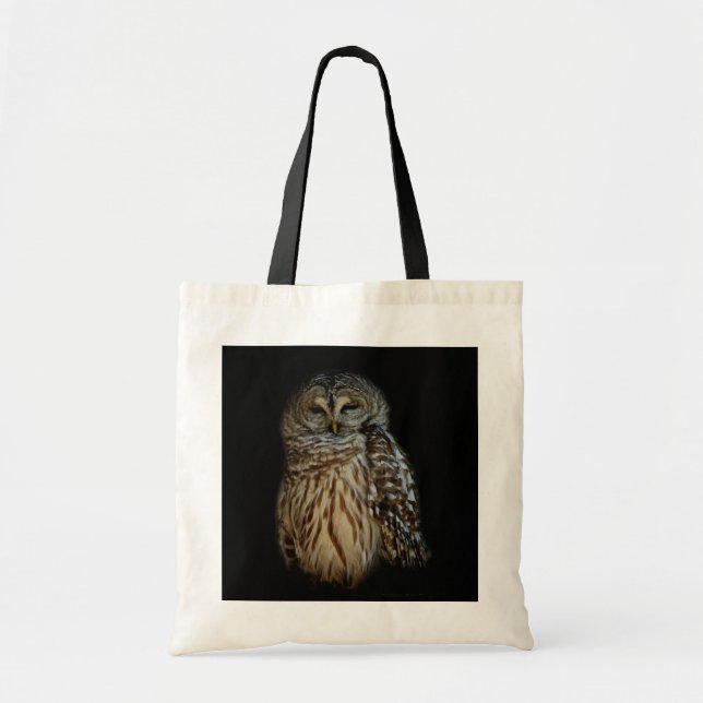 Sleepy Owl Bag (Front)