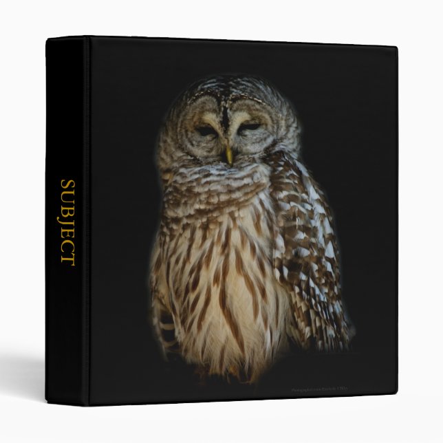 Sleepy Owl Binder (Front/Spine)