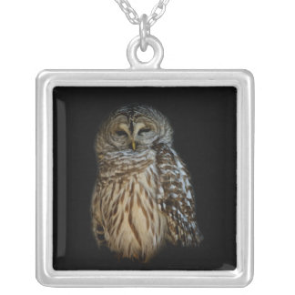 Sleepy Owl Necklace