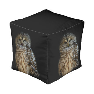 Sleepy Owl Pouf
