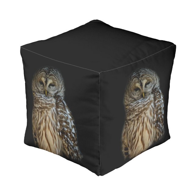 Sleepy Owl Pouf (Angled Front)