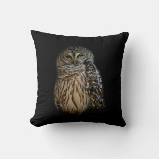 Sleepy Owl Throw Pillow