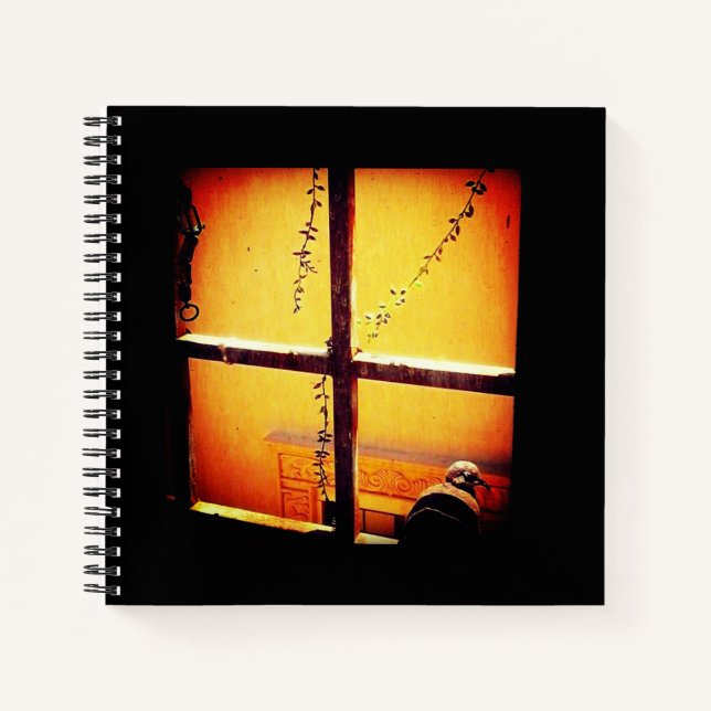 Sleepy Pigeon Notebook (Front)