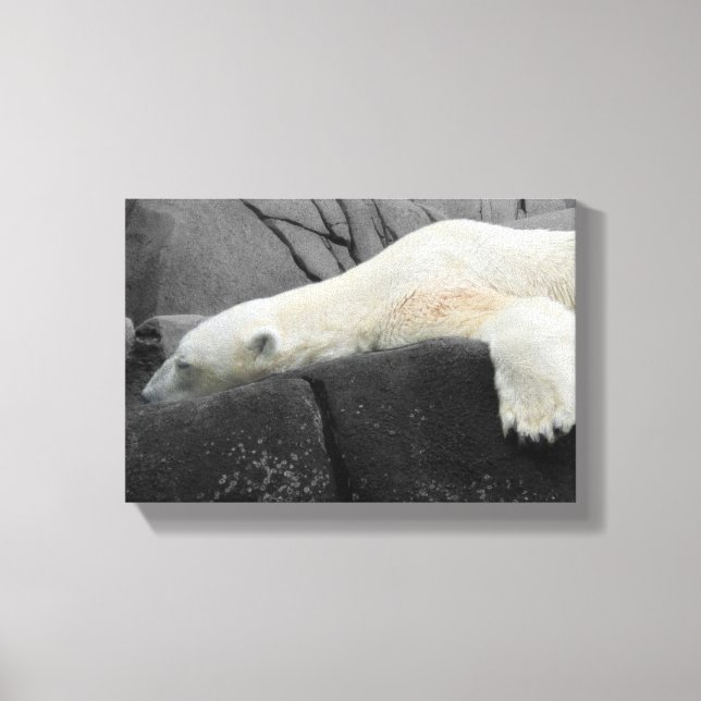 Sleepy Polar Bear Canvas Print (Front)