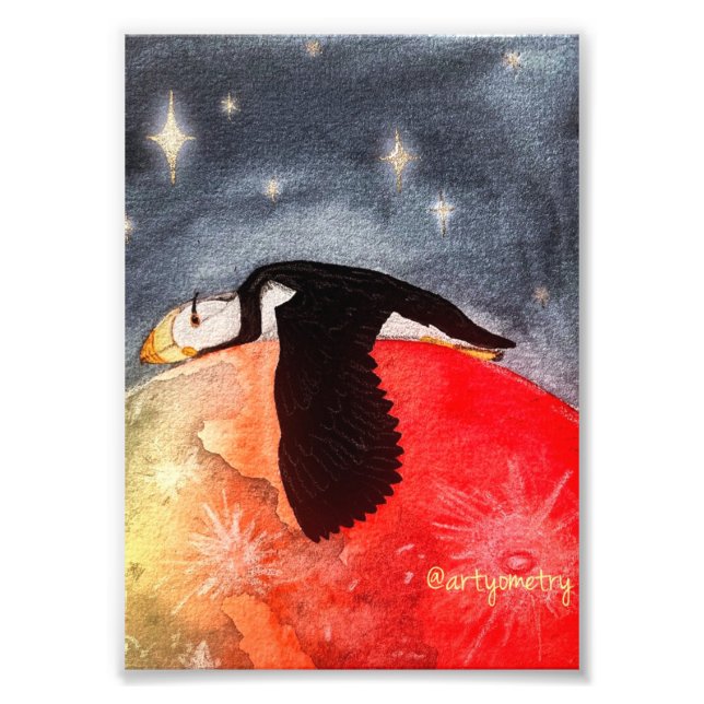 Sleepy Puffin Photo Print (Front)