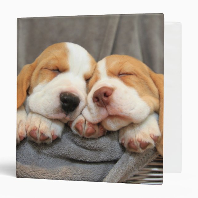 Sleepy Puppies 3 Ring Binder (Front/Inside)