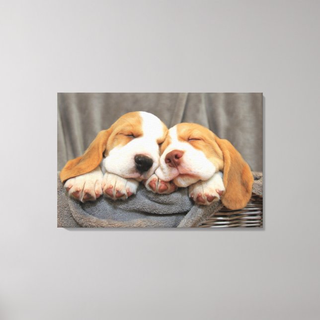 Sleepy Puppies Canvas Print (Front)