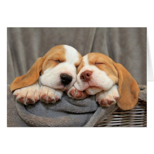 Sleepy Puppies Cards (Front Horizontal)
