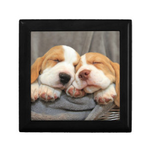 Sleepy Puppies Gift Box