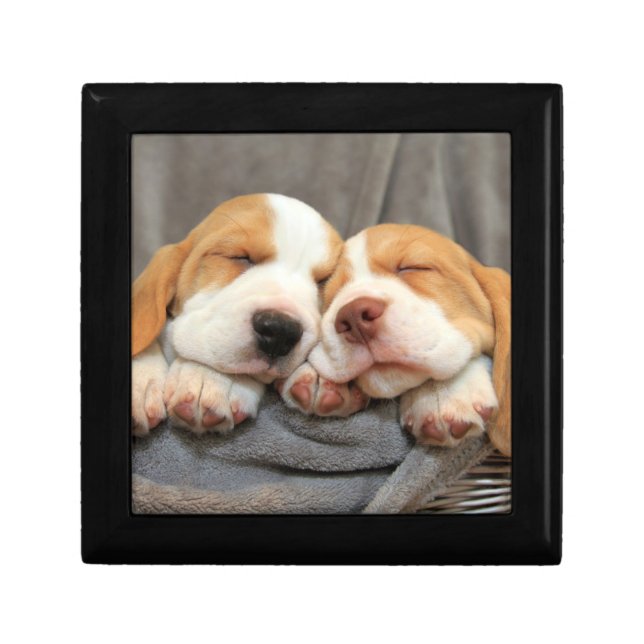 Sleepy Puppies Gift Box (Front)