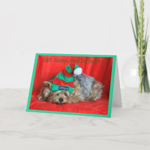 Sleepy Puppy Wearing Elf Hat Holiday Card