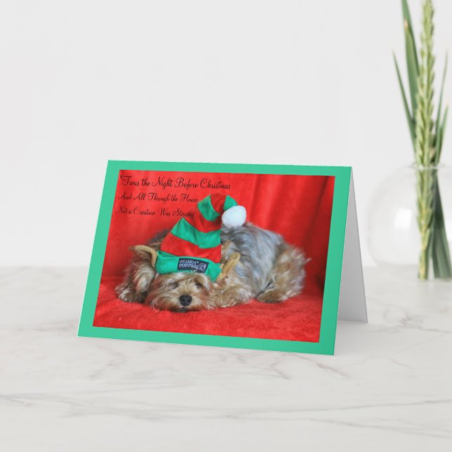 Sleepy Puppy Wearing Elf Hat Holiday Card (Front)