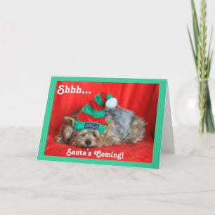 Sleepy Puppy Wearing Elf Hat Holiday Card