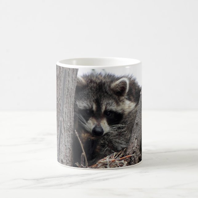 Sleepy Raccoon Coffee Mug (Center)
