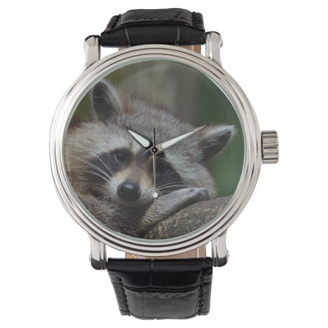 Sleepy Raccoon Watch (Front)