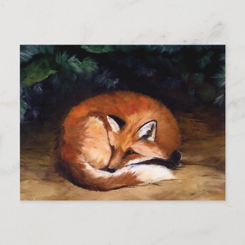 Sleepy Red Fox Animal Art Postcard