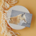 Sleepy Red Fox Funny Wildlife Birthday Card<br><div class="desc">Birthday card featuring the photo image of a sleepy Red Fox with his eyes closed. Inside is a humorous birthday greeting. Select your greeting card paper type.</div>