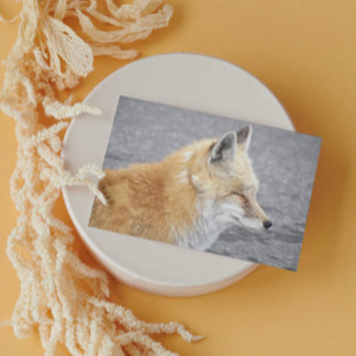Sleepy Red Fox Funny Wildlife Birthday Card