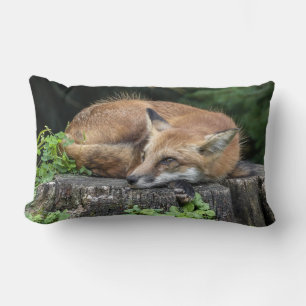 Sleepy Red Fox   Lumbar Pillow