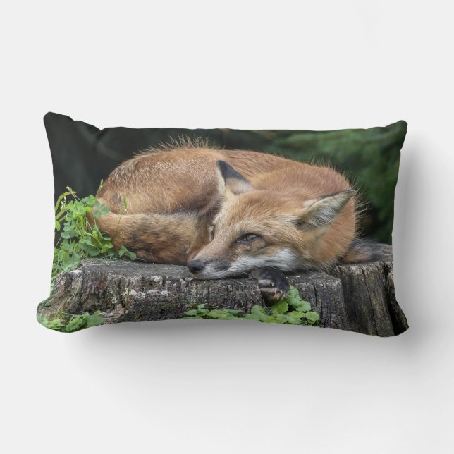 Sleepy Red Fox   Lumbar Pillow (Front)