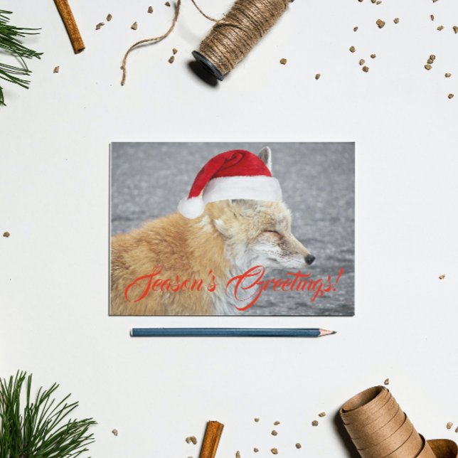 Sleepy Red Fox Wearing Red Santa Hat Holiday Postcard (In Situ)