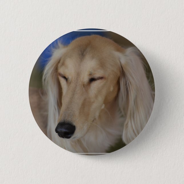 Sleepy Saluki Dog Button (Front)