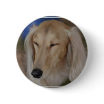Sleepy Saluki Dog Button