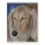 Sleepy Saluki Dog Temporary Tattoos