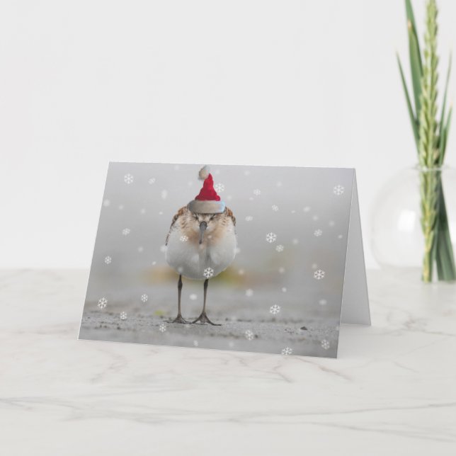 Sleepy Sandpipers Christmas Card (Front)
