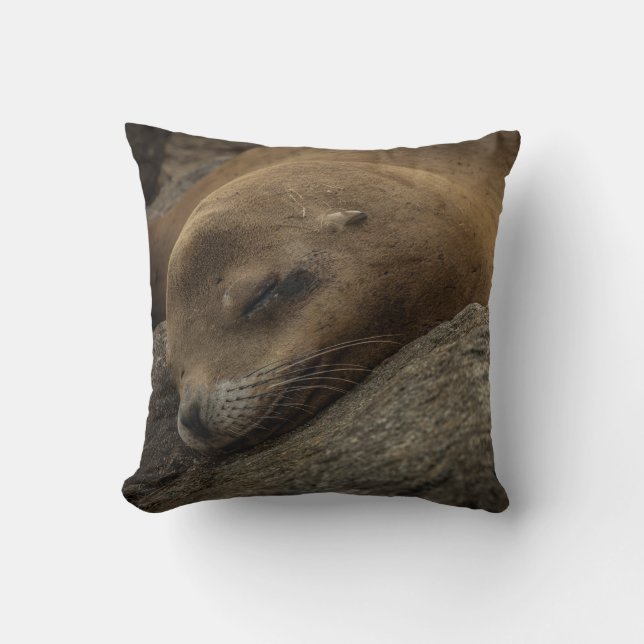 Sleepy Sea Lion - Sleeping Wildlife Photography Throw Pillow (Front)
