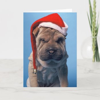 Sleepy Shar Pei X Mas Chrstmas Dog Holiday Card by patrickhoenderkamp at Zazzle